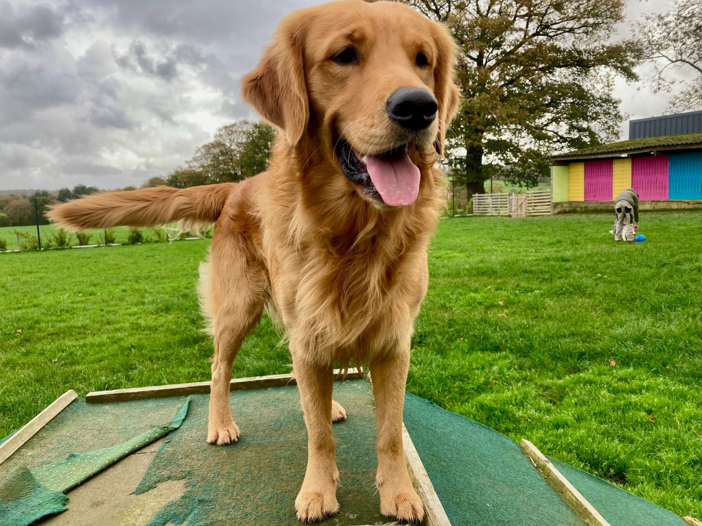Ufig Du haut de crecy